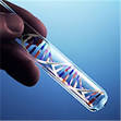 ДНК-тестирование